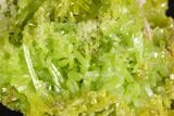 Vibrant Green Pyromorphite Crystal Cluster - China #147654-1